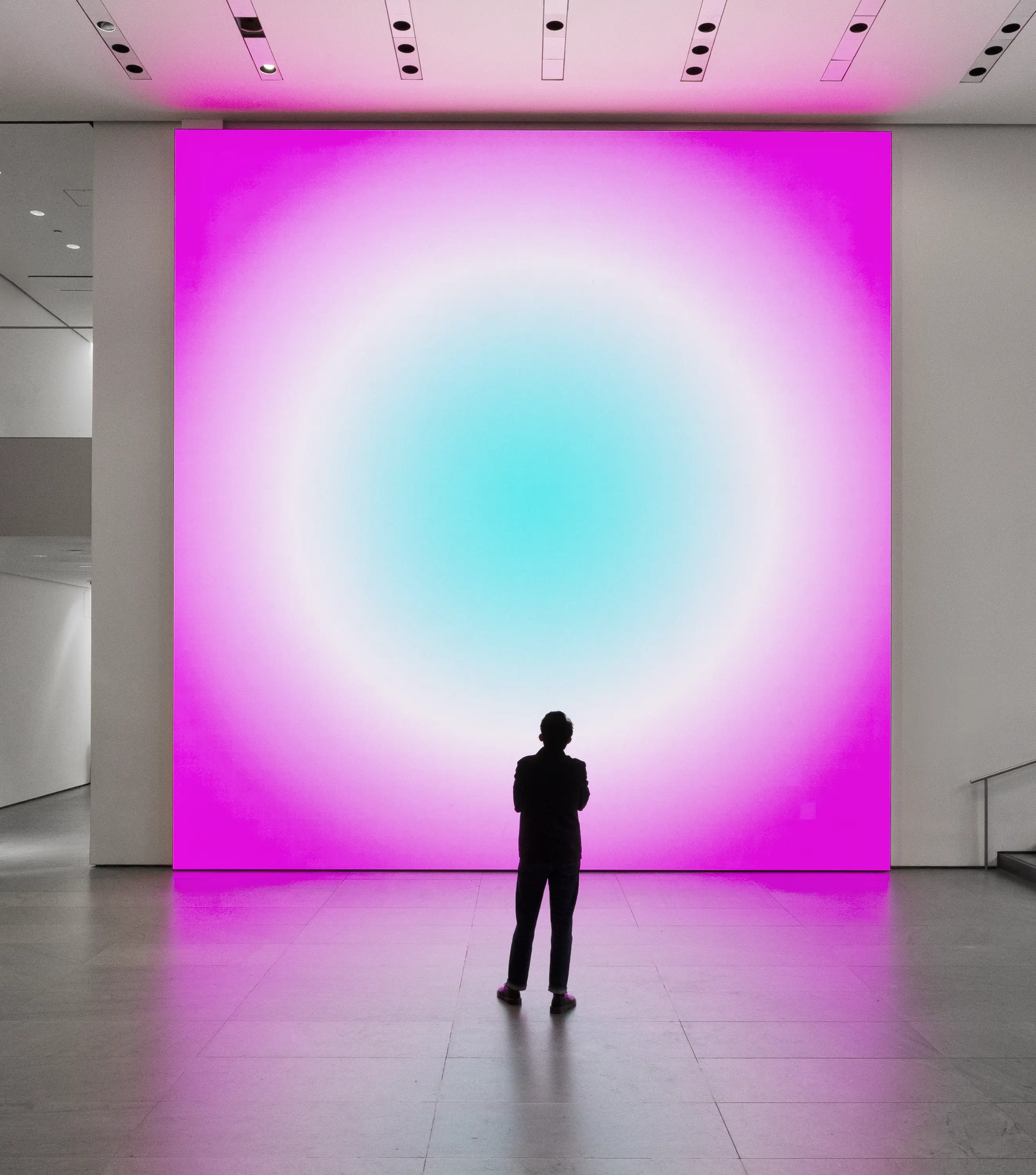 2024 MoMA - Exhibition