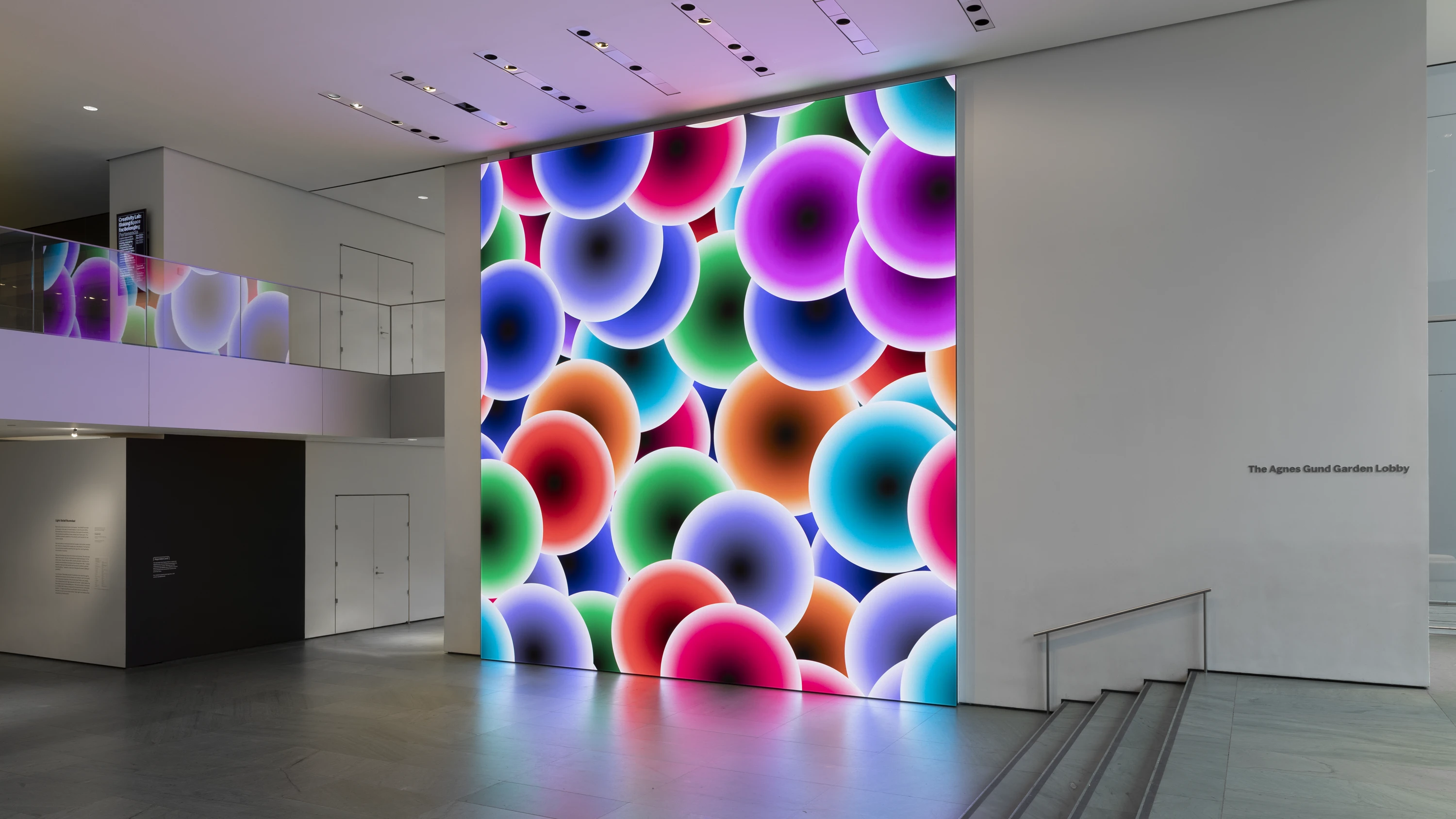 2024 MoMA - Exhibition